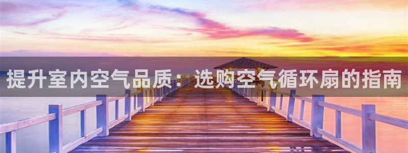 凯发k8娱乐平台：提升室内空气品质：选购空气循环扇的指南