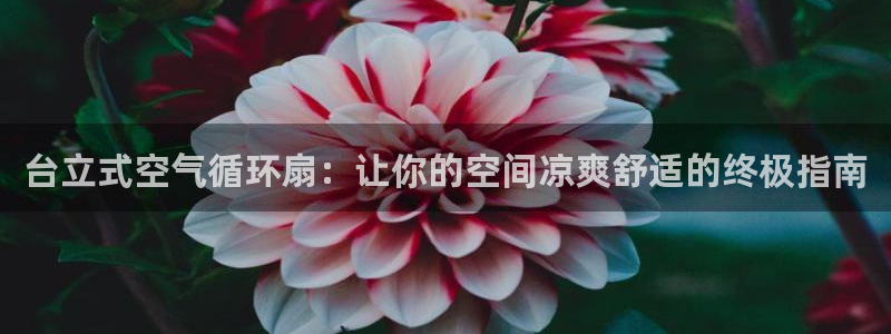 凯发旗舰客户端：台立式空气循环扇：让你的空间凉爽舒适的终极指南
