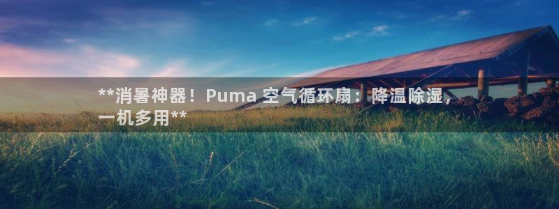 凯发官方网站下载：**消暑神器！Puma 空气循环扇：降温除湿，
一机多用**