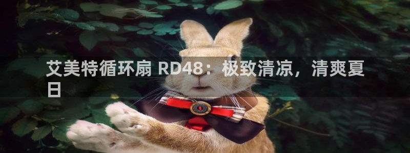 凯发k8娱乐是国内平台?：艾美特循环扇 RD48：极致清凉，清爽夏
日