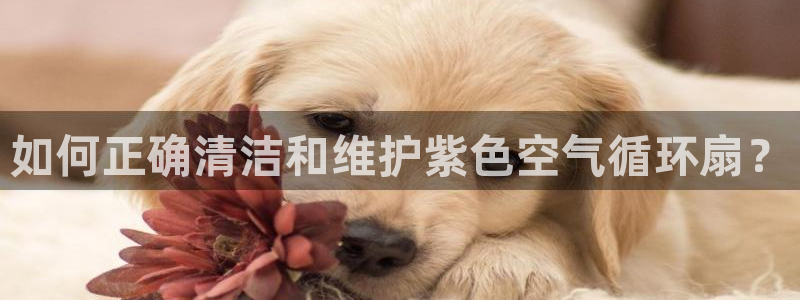 凯发官网登录地址陆地：如何正确清洁和维护紫色空气循环扇？