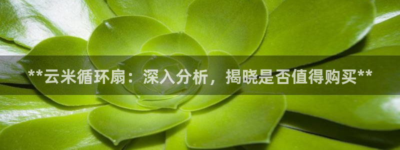 凯发k8娱乐真人旗舰厅客服：**云米循环扇：深入分析，揭晓是否值得购买**