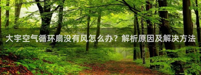 凯发k8国际 不能提款了：大宇空气循环扇没有风怎么办？解析原因及解决方法