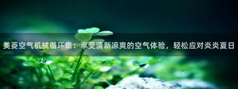 凯发k8旗舰厅yue来就送38：美菱空气机械循环扇：享受清新凉爽的空气体验，轻松应对炎炎夏日