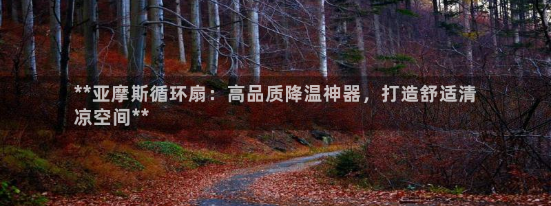 凯发国际平台首页：**亚摩斯循环扇：高品质降温神器，打造舒适清
凉空间**