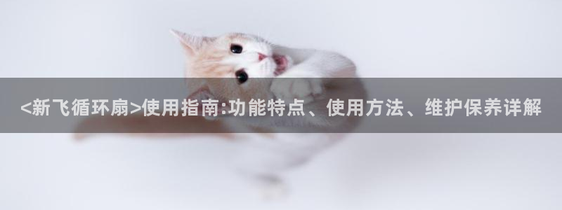 凯发官网登录手机版：<新飞循环扇>使用指南:功能特点、使用方法、维护保养详解