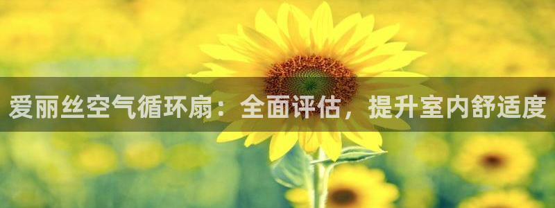 凯发k8国际官网可靠吗：爱丽丝空气循环扇：全面评估，提升室内舒适度