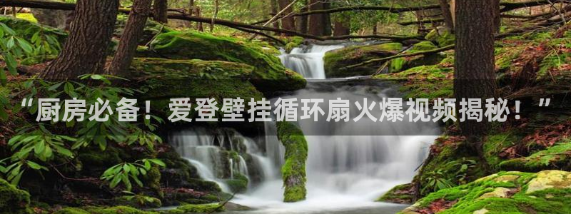 凯发k8娱乐|k808.vip：“厨房必备！爱登壁挂循环扇火爆视频揭秘！”
