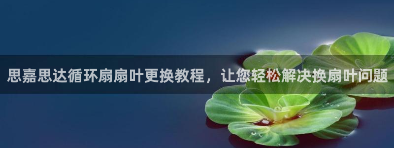 凯发k8登录首页：思嘉思达循环扇扇叶更换教程，让您轻松解决换扇叶问题