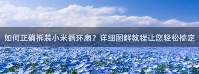 凯发k8娱乐旗舰厅：如何正确拆装小米循环扇？详细图解教程让您轻松搞定