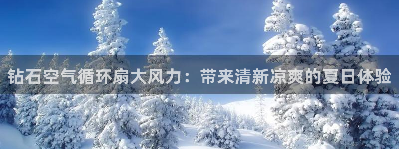 凯发k8登录首页：钻石空气循环扇大风力：带来清新凉爽的夏日体验