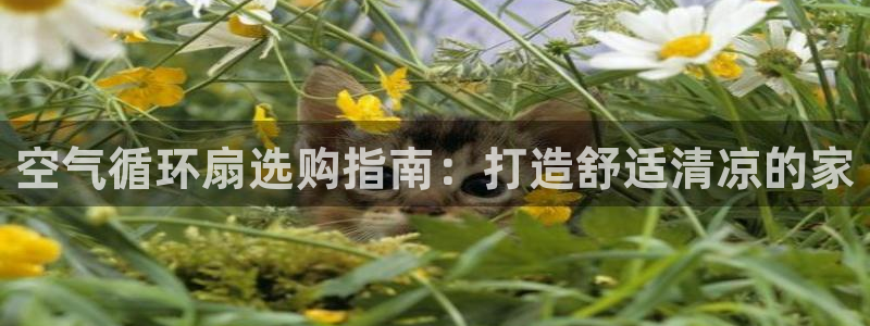 凯发是正规平台吗：空气循环扇选购指南：打造舒适清凉的家