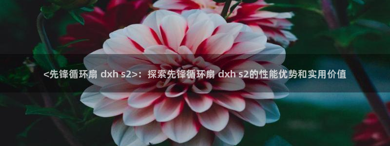 凯发app官网：<先锋循环扇 dxh s2>：探索先锋循环扇 dxh s2的性能优势和实用价值