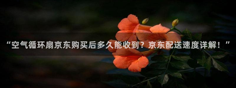 凯发平台开户：“空气循环扇京东购买后多久能收到？京东配送速度详解！”
